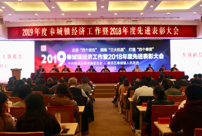 奉贤区奉城镇年度先进表彰大会 | EVO视讯荣获“纳税百强企业”