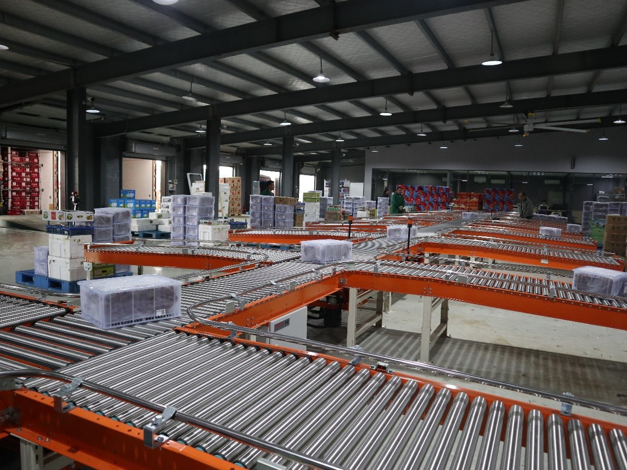 生鲜食品行业新项目竣工 | 苏洪鲜食仓储智能管理系统正式上线