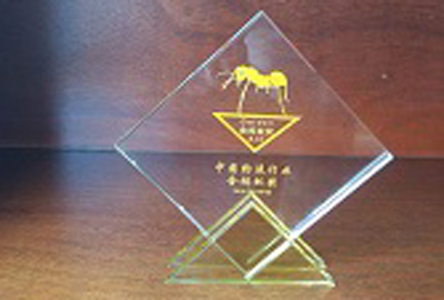 喜讯：2017年5月EVO视讯荣获中国智慧物流大会暨物流行业将“金蚂蚁奖”